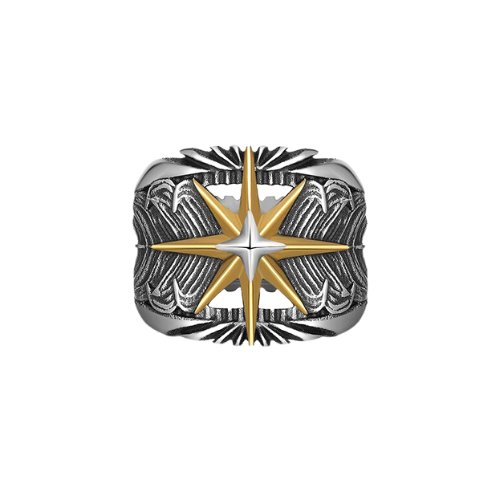 A Rebel Saint Co Gold Star Feather Ring with a star in the middle.